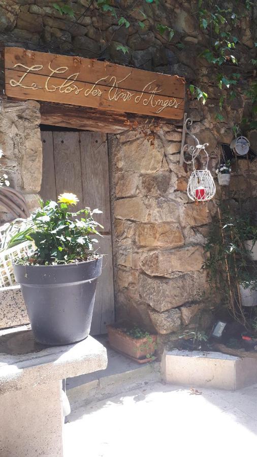 Chambres d hôtes Le clos des vins d anges Saint-Pierre-des-Champs Exterior foto